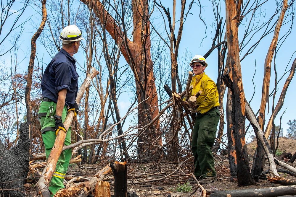 US firefighters in Australia Free Photo rawpixel