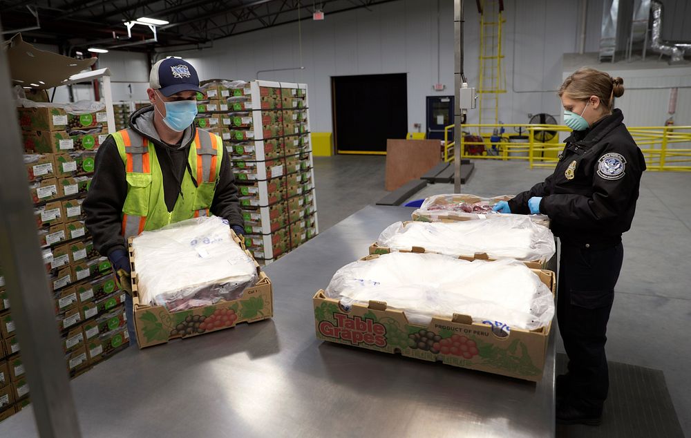 A U.S. Customs and Border Protection Office of Field Operations agricultural specialist, right, inspects fruit shipments…