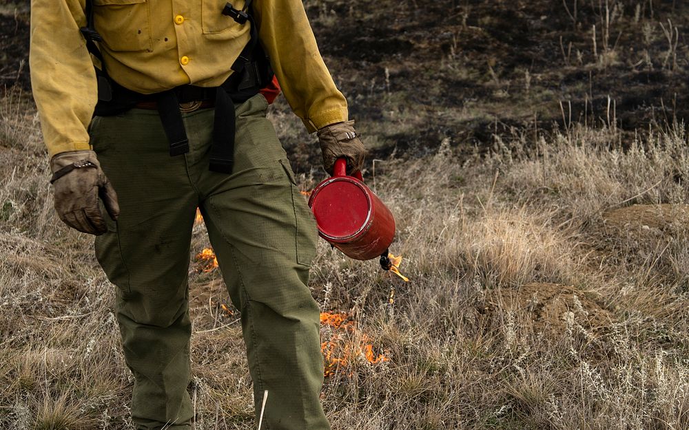Firefighters from the Bureau of Land Management conducted the 1,123-acre Kendall Coulee South prescribed fire northeast of…