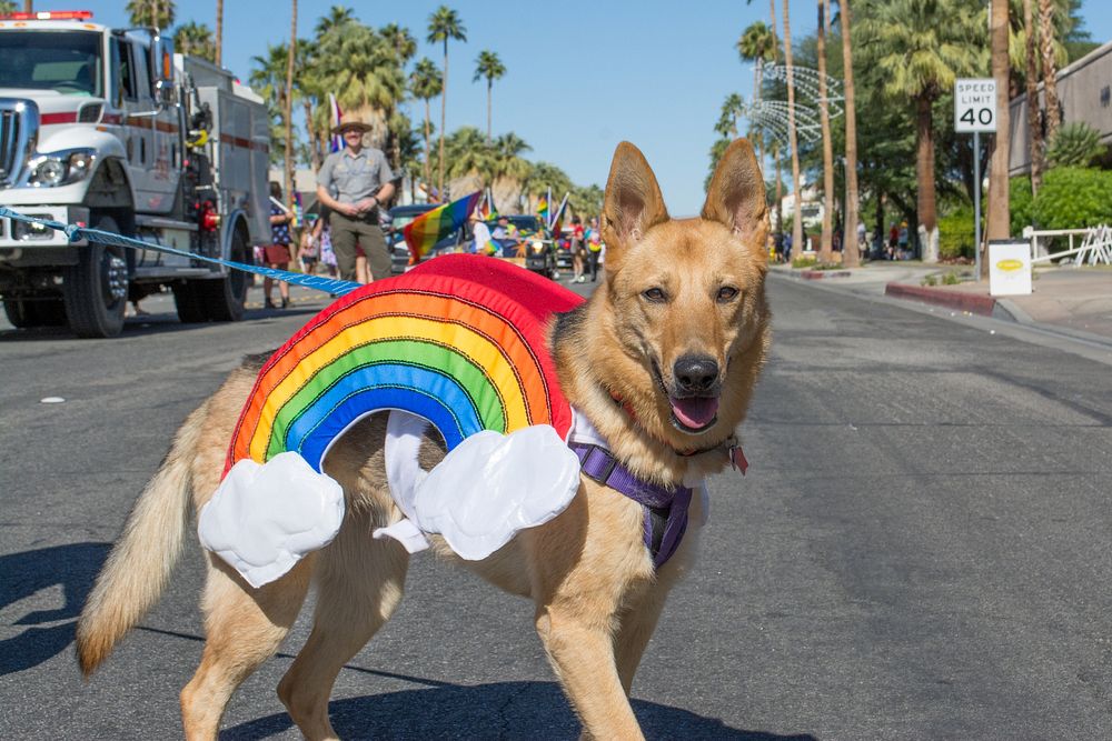 Palm Springs Pride Parade 2019