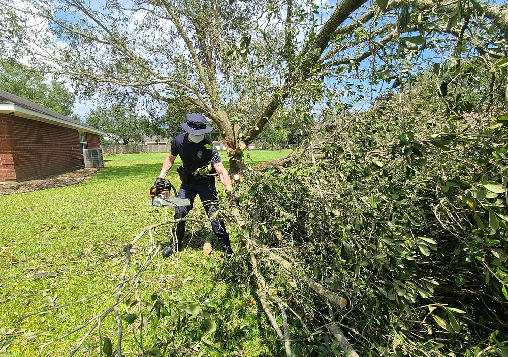 CBP officers and US Border Patrol agents help clear a downed tree near a home in Orange, TX. The tree had been severely…