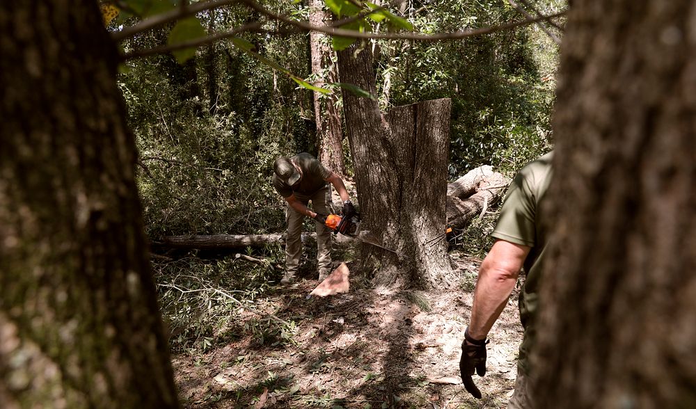 U.S. Border Patrol agents from the Lake Charles Border Patrol Station clear downed trees from residences in the wake of…