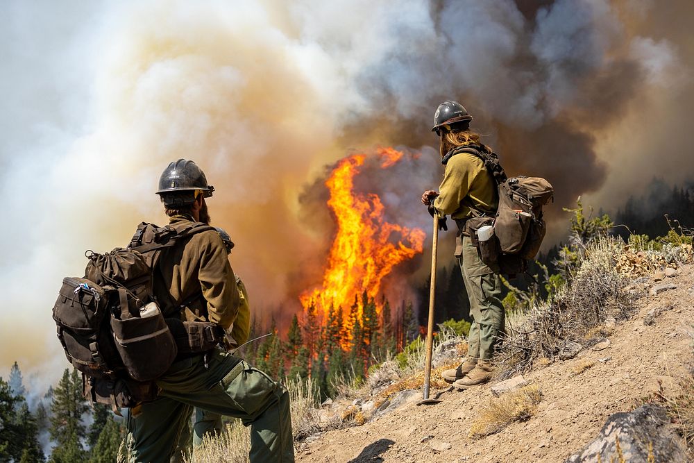 Ruby Mountain Hotshots. The Ruby Mountain interagency hotshot crew monitors the fireline during the Dixie Fire, Lassen…