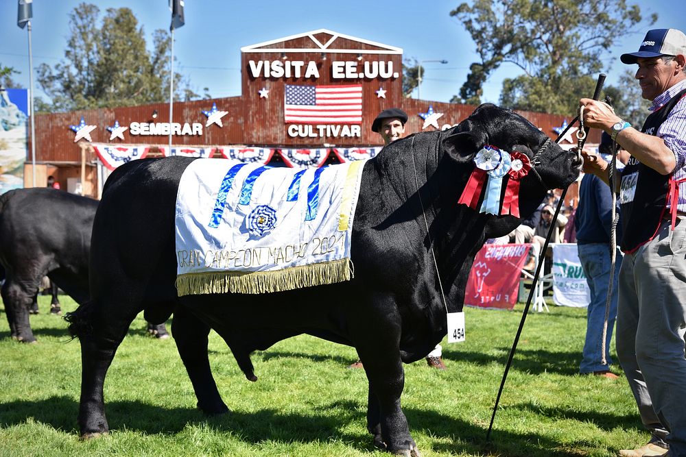 Estados Unidos en la Expo Prado 2021