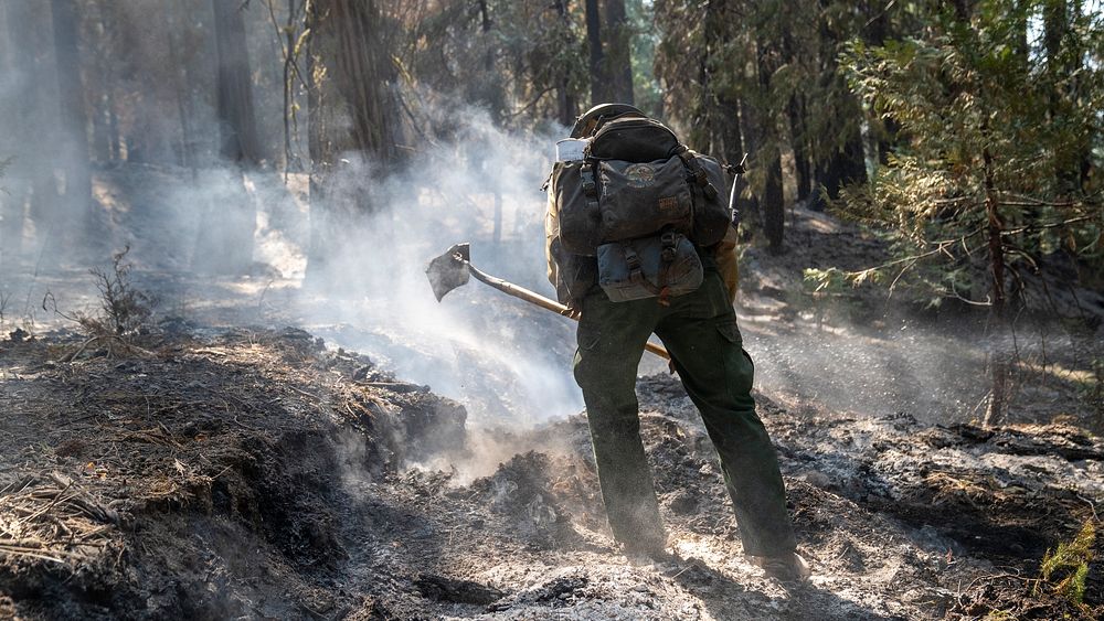 DJ McIlhargie, El Dorado Hot Shot Captain, conducts wet mop duties during the Caldor Fire on the El Dorado National Forest…