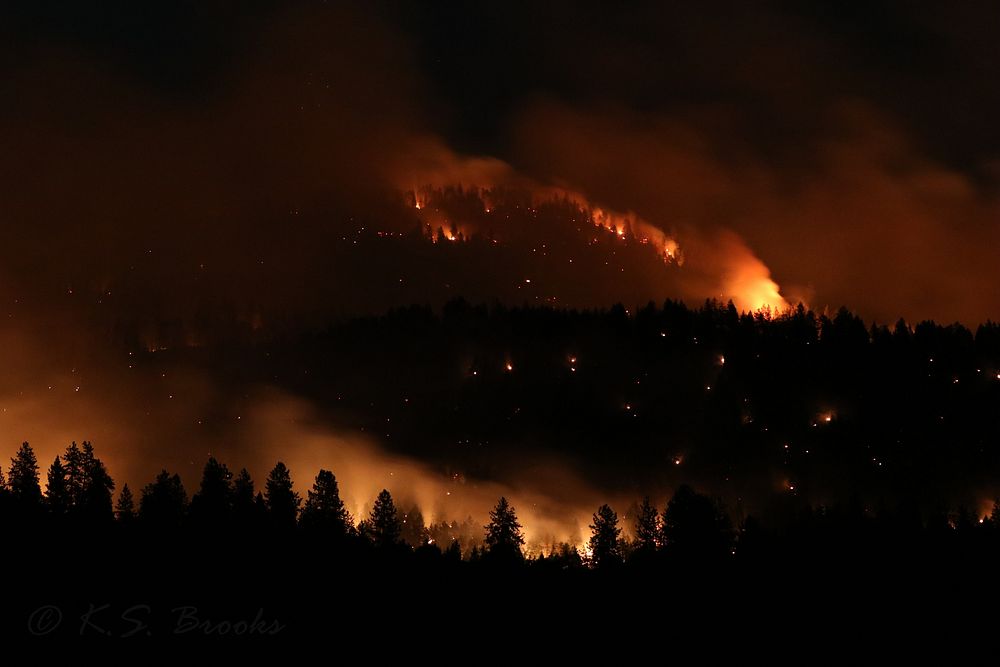 Goddard Road Fire, near Rice, Washington, burns bright the first night. Photo by K. S. Brooks