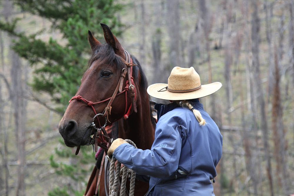 Stream Crossing Payette NF Kelly Free Photo rawpixel