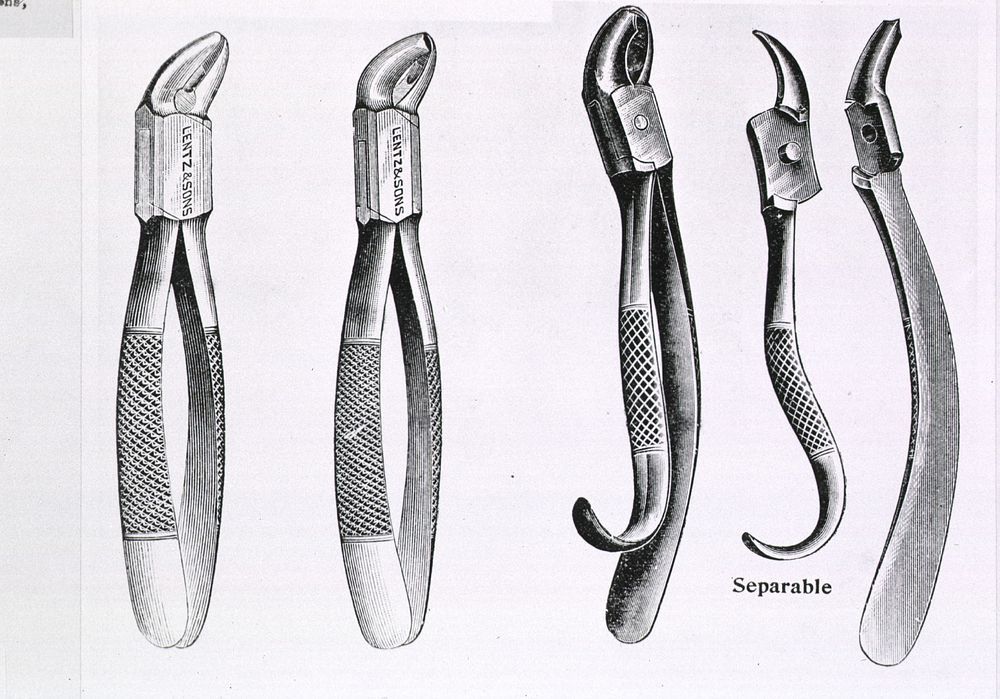 Instruments for tooth extraction. Three pairs of pliers with slight modifications to the jaw; one pair, described as…