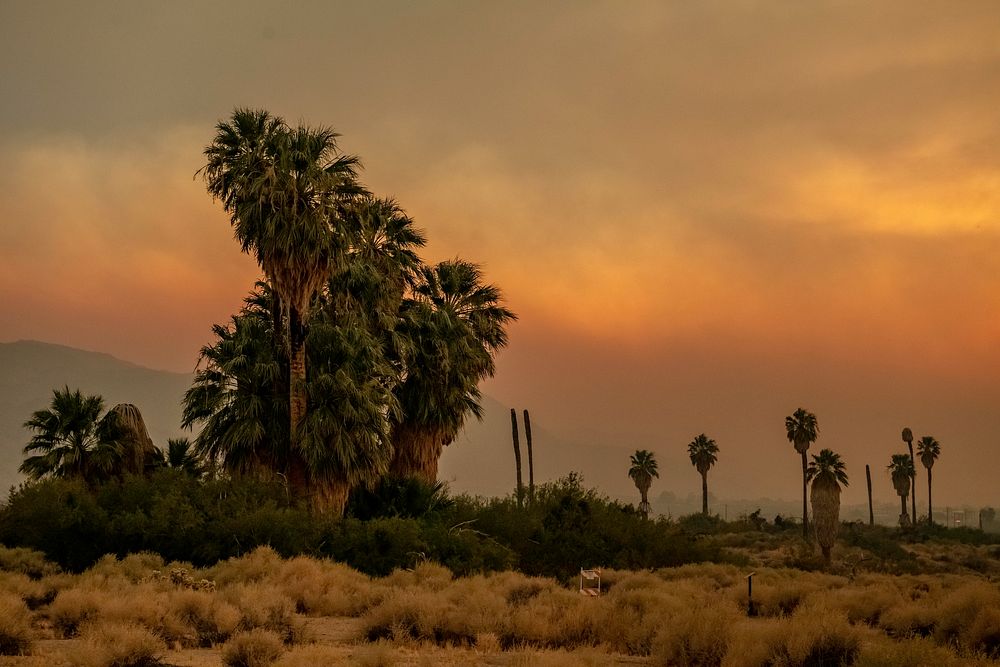 Oasis of Mara with smoke from the Apple Fire at sunset
