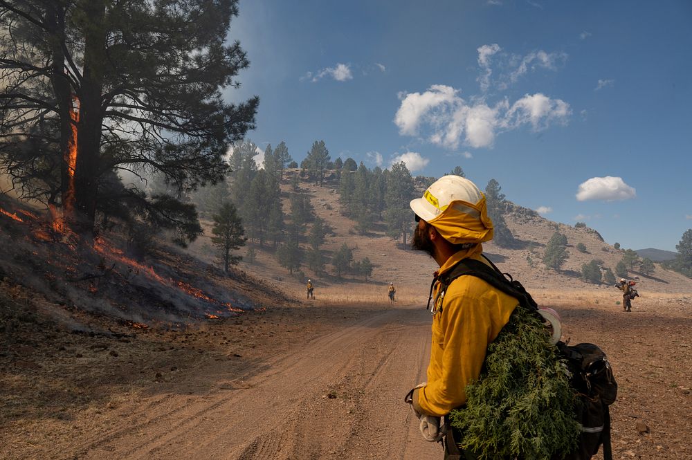 Doagy Fire. Wildland firefighters in New Mexico work to put out the Doagy Fire. Photo by Avi Farber, BLM contract…