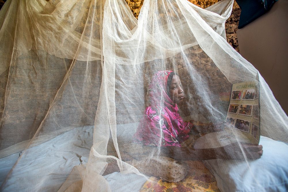 Young girl reading under a mosquito net.
