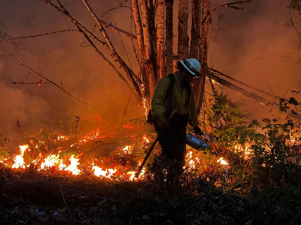 Burn Ops, Bolt Creek Fire, WashingtonNorthwest Region-Department of Natural Resources
