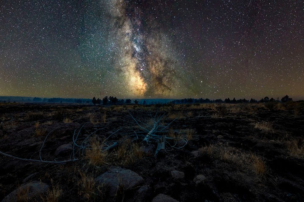 The 2022 Graves Creek prescribed fire burns under a starry night sky. 