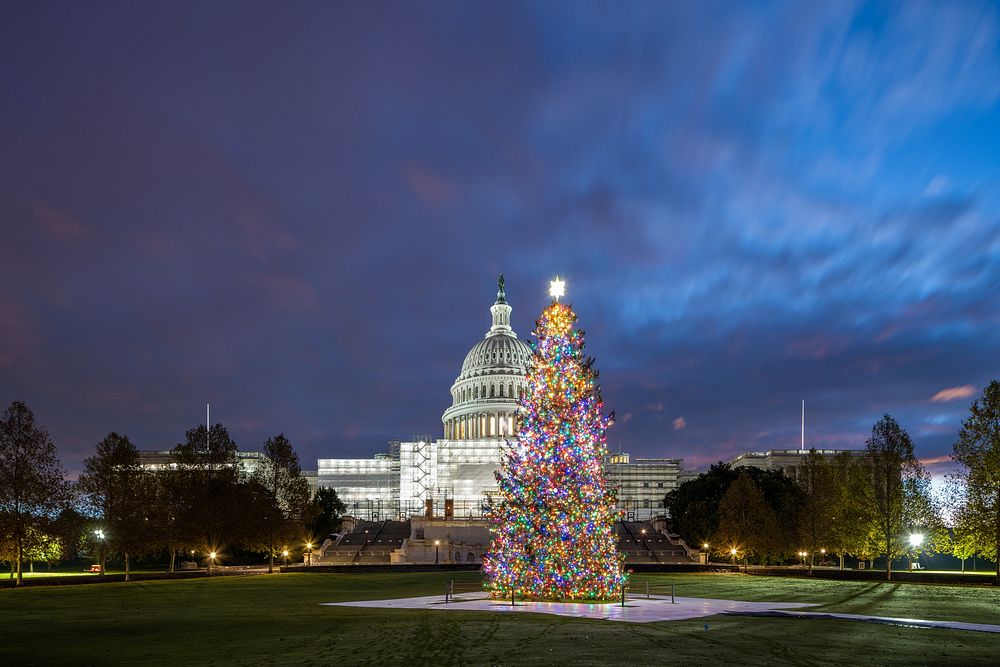 2022 Capitol Christmas Tree with LightsThe 2022 #USCapitol Christmas Tree was chosen from the National Forests of North…
