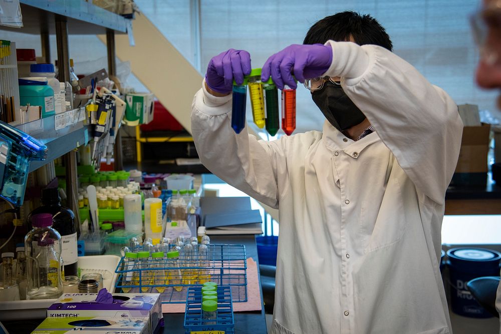 Chang Dou, Process Analytical Chemist, ABPDU, prepares colored liquid as part of a test on a prototype HP/HT Well Plate…