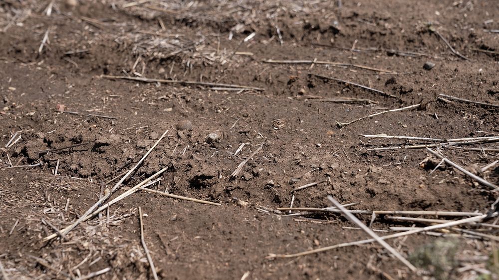 Soil, residue, agricultural land. 