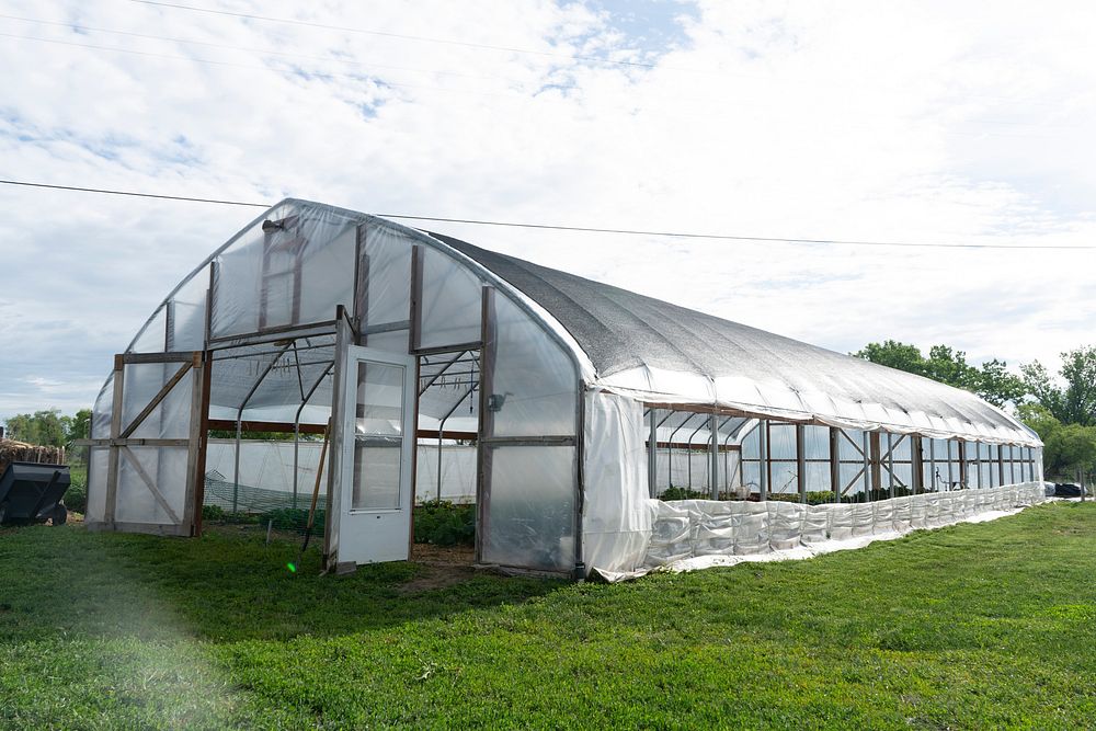 High tunnel greenhouse, organic farm. 