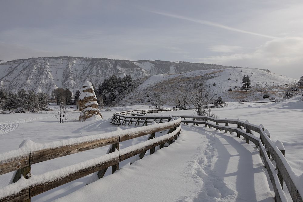 Fresh snow along the boardwalk at the Mammoth Hot Springs Terraces NPS / Addy Falgoust