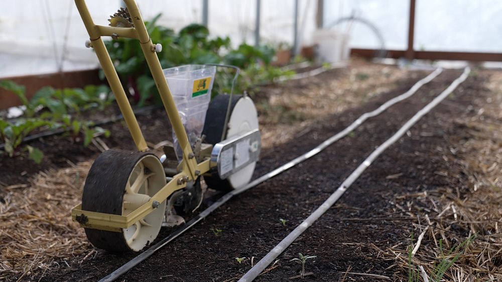 Jang seeder planting in high tunnel. The Van Order family grows produce on their farm near Hardin for their family's use and…