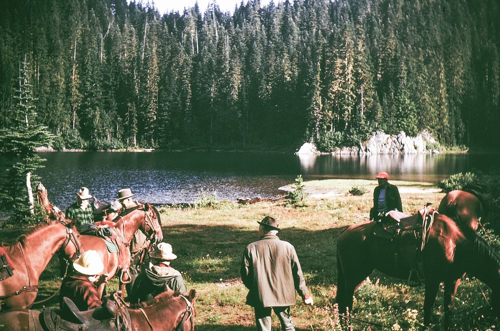 Historic Goat Rocks Advisory Board with Horses along shore of Alpine Lake on the Gifford Pinchot NF in Washington State…