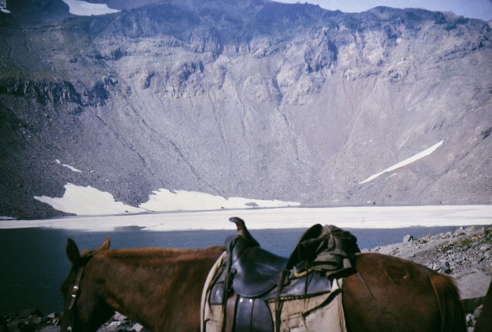 Horseback riding in nature, archive photo.