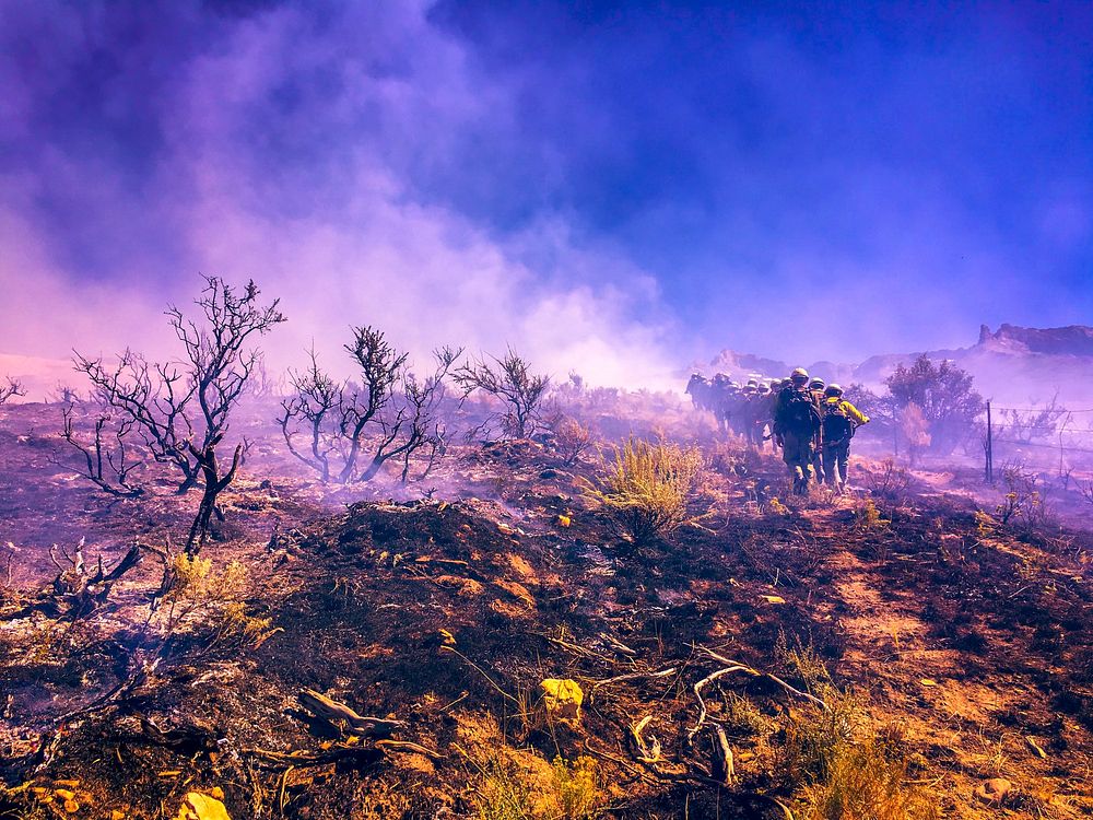Landscape Category - USFWS 2022 Photo/Video ContestFirefighters hike through the black on the Lamoille Fire in Nevada in…