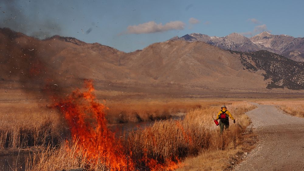 Personnel Category - USFWS 2022 Photo/Video ContestA U.S. Fish and Wildlife Service firefighter lights a prescribed fire at…