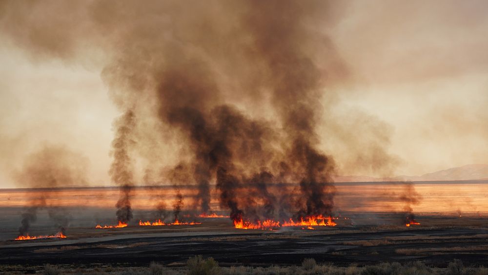 A prescribed fire at Ruby Lake.