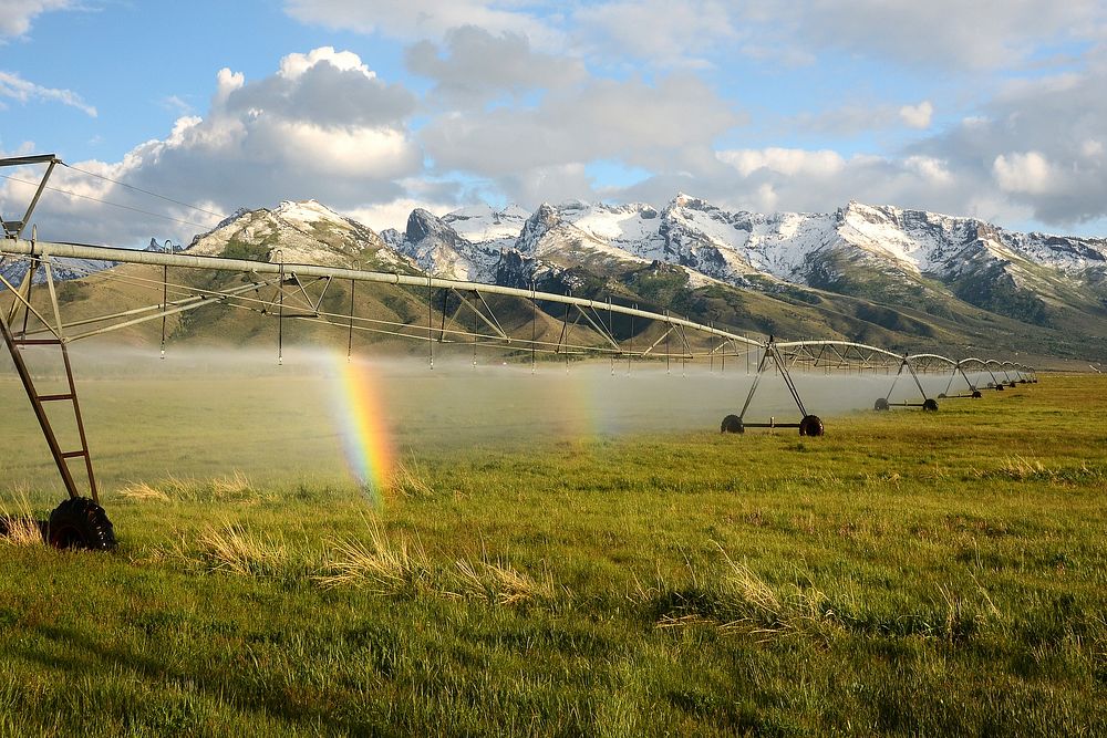 Sprinkler irrigation system, rainbow.