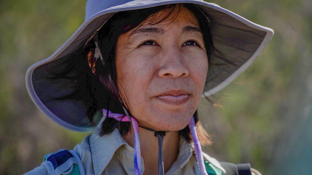 Botanist Lauren Quon checks the growth of the native plants recently planting on the Cleveland National Forest as hikers…