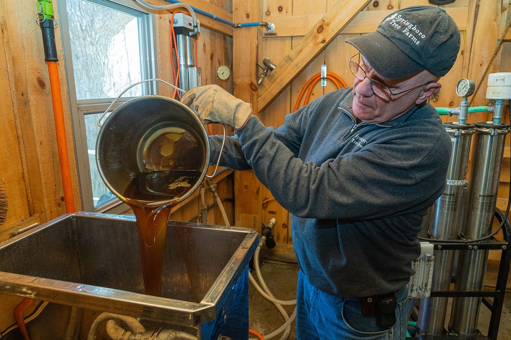Joe Velovitch pours maple syrup into the finishing pan at Springboro Tree Farms in Brookston, Indiana Feb. 13, 2023.…