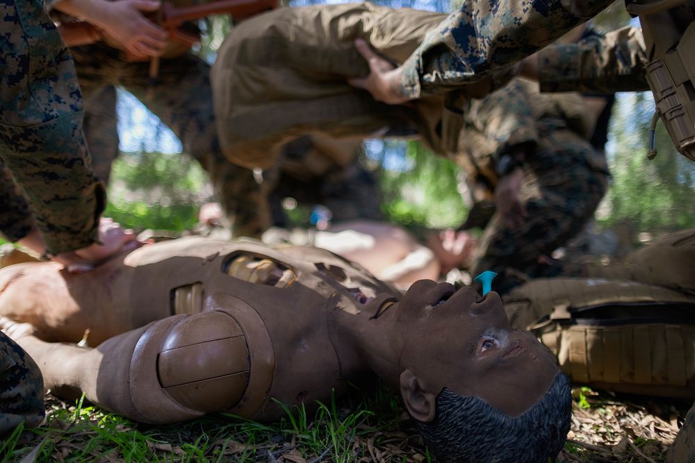 Division Marines, sailors train to provide casualty care 230131-M-IP954-1275U.S. sailors with 1st Marine Division give…