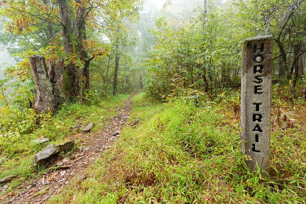 SkylandBig Meadows Horse TrailNPS Free Photo rawpixel