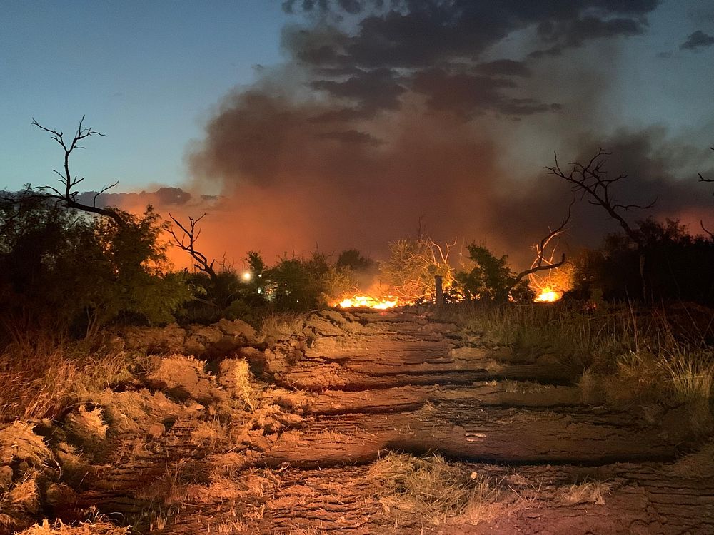 Dempsey FireFire burning in brush near a dozer line.