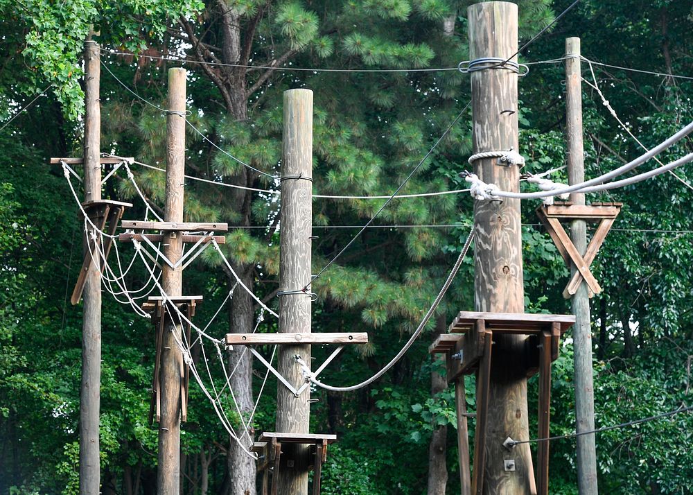 Adventure ropes course, outdoor activity.
