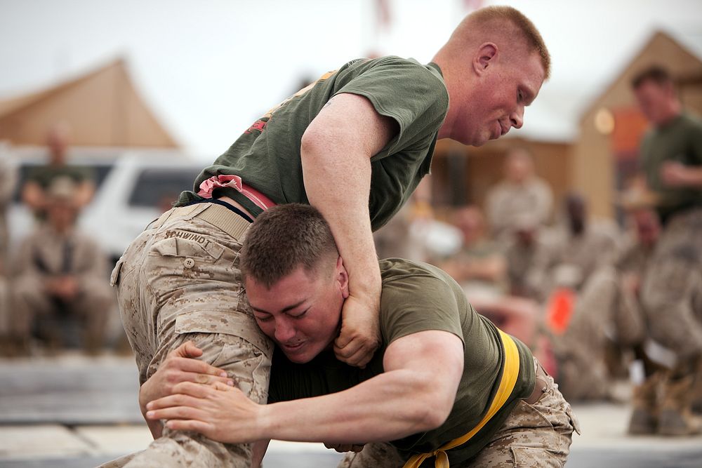 U.S. Marine Lance Cpl. Keith Silva, right, attempts to take down Lance Cpl. Brett P. Schwindt, during a ground fighting…