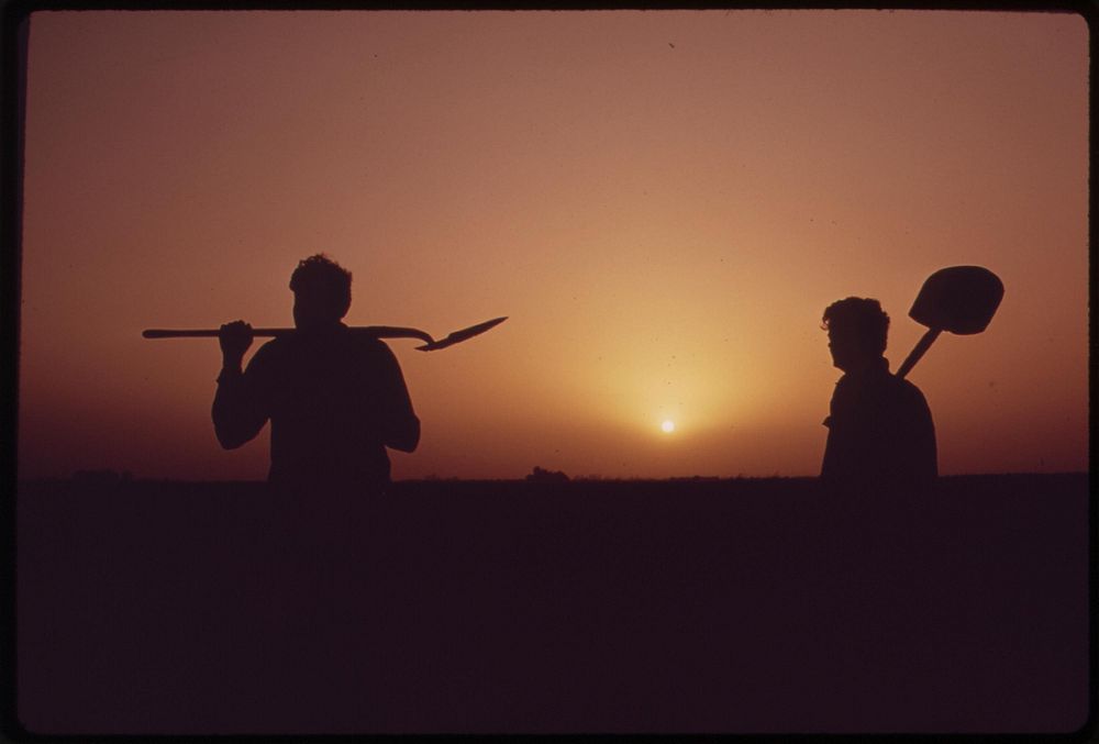 Farm workers shoulder tools at end of day near Ripley, in the fertile Palo Verde Valley of the lower Colorado River region…