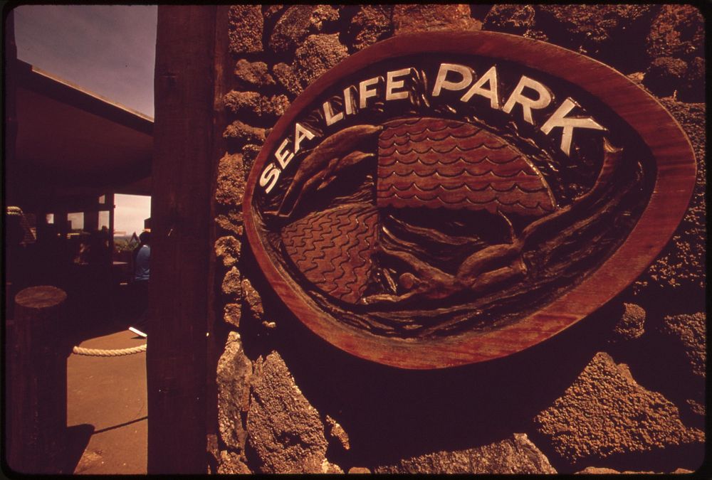 Sea Life Park, like Paradise Park, is a commercial enterprise built in a conservation zone, October 1973. Photographer:…
