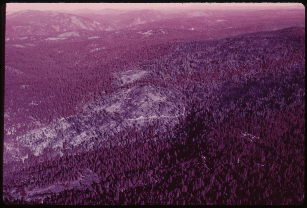 Infra-red aerial of burn area shows extensive damage to vegetation. Reddish areas indicate green trees spared from the…