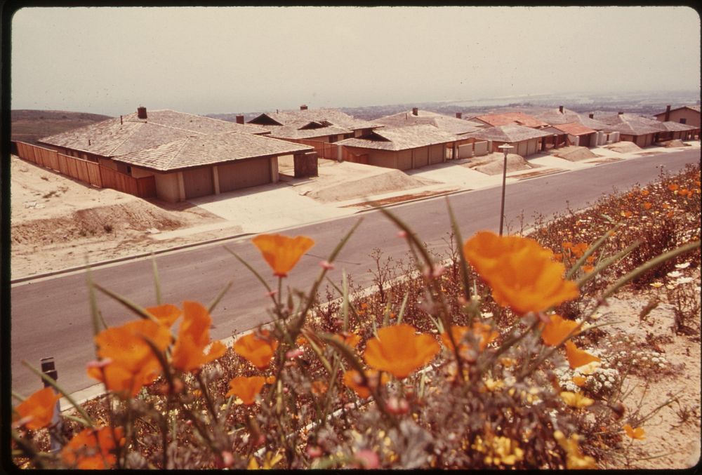 Flowers planted around spyglass homes built on a terraced hillside, May 1975. Photographer: O'Rear, Charles. Original public…
