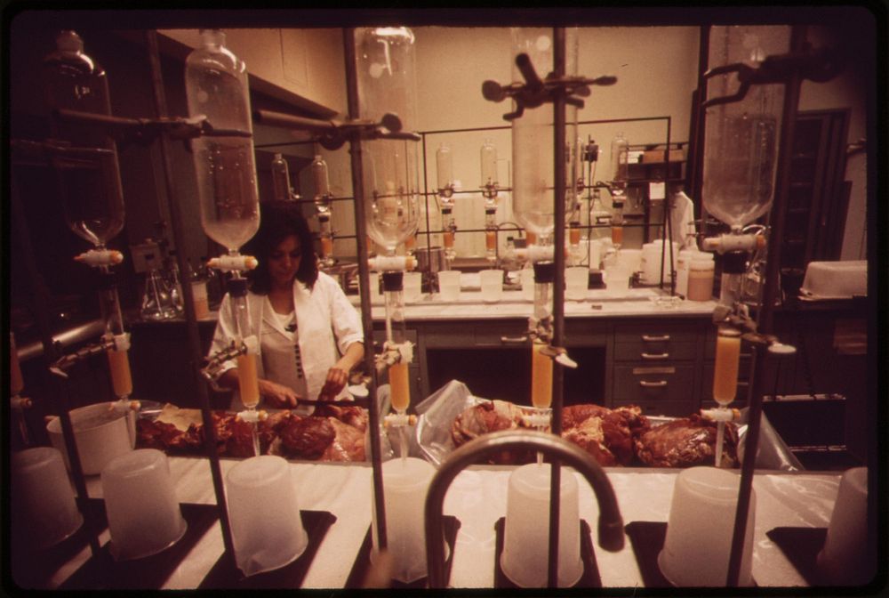 Technician tests meat samples for radiation at EPA's National Environmental Research Center at Las Vegas, May 1972.…