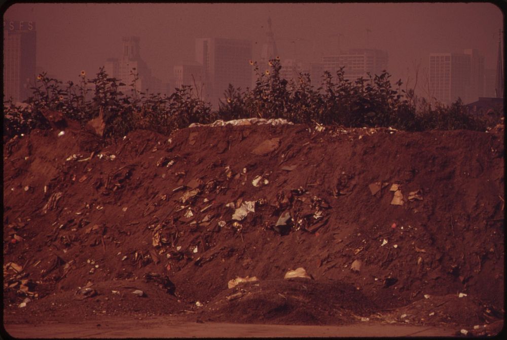 Littered Embankment Near Vine Street Exit Of I-95. Center City Office Buildings In Background, August 1973. Photographer:…