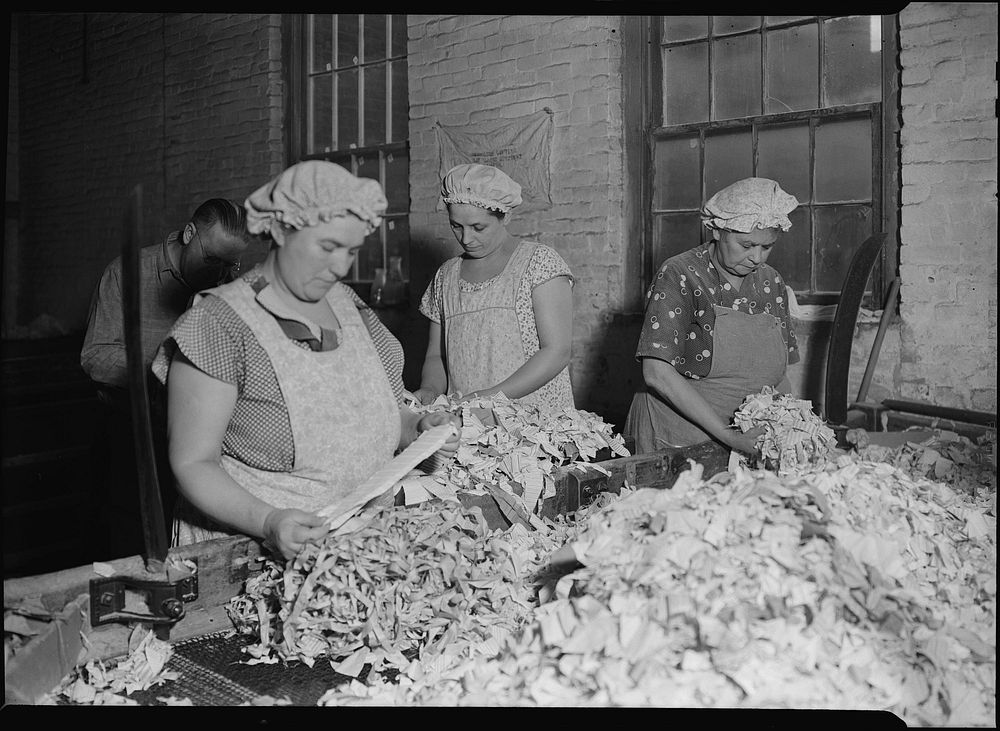 Mt. Holyoke, Massachusetts - Paper. American Writing Paper Co. Rag sorting (French), 1936. Photographer: Hine, Lewis.…