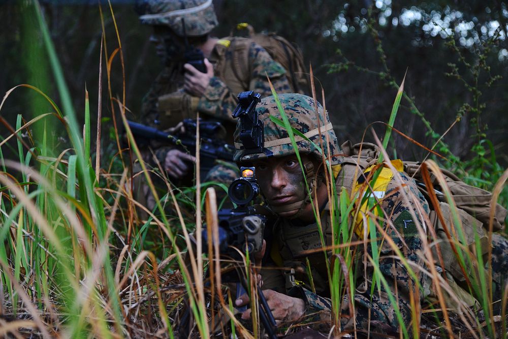 U.S. Marines with Golf Company, Battalion Landing Team, 2nd Battalion, 4th Marine Regiment, 31st Marine Expeditionary Unit…