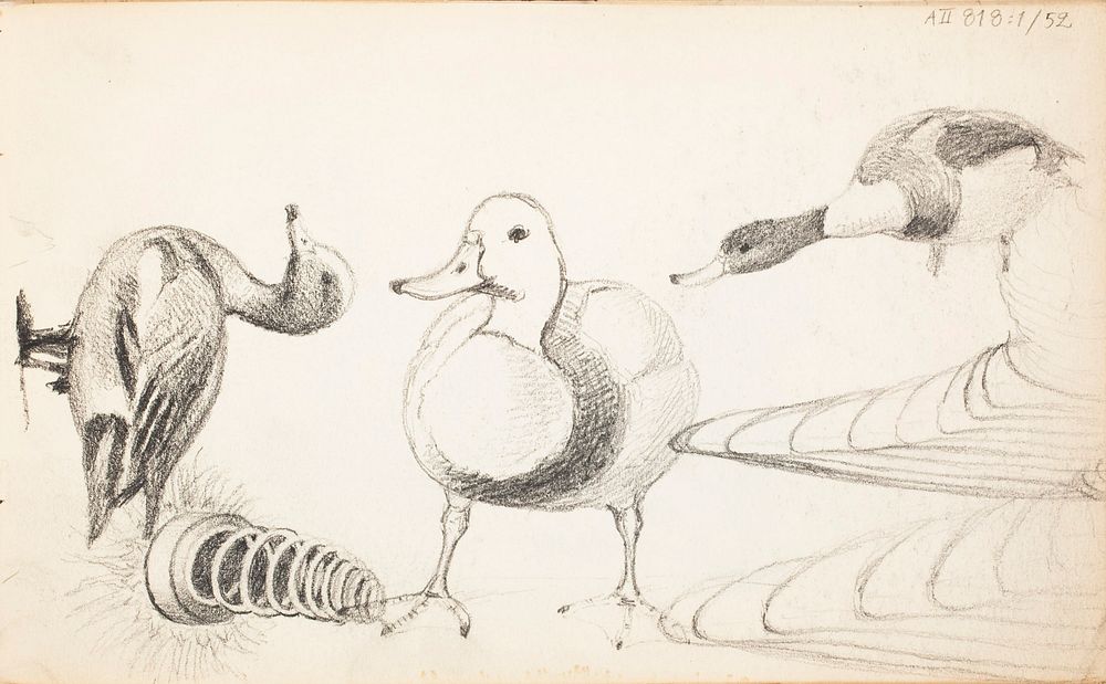(unknown), 1857 - 1875part of a sketchbook