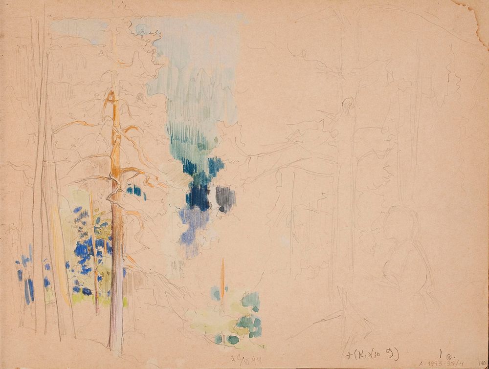 (unknown), 1894 - 1896part of a sketchbook
