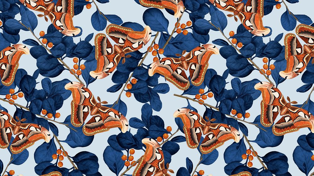 Butterfly seamless pattern desktop wallpaper, exotic nature background remix from The Naturalist's Miscellany by George Shaw