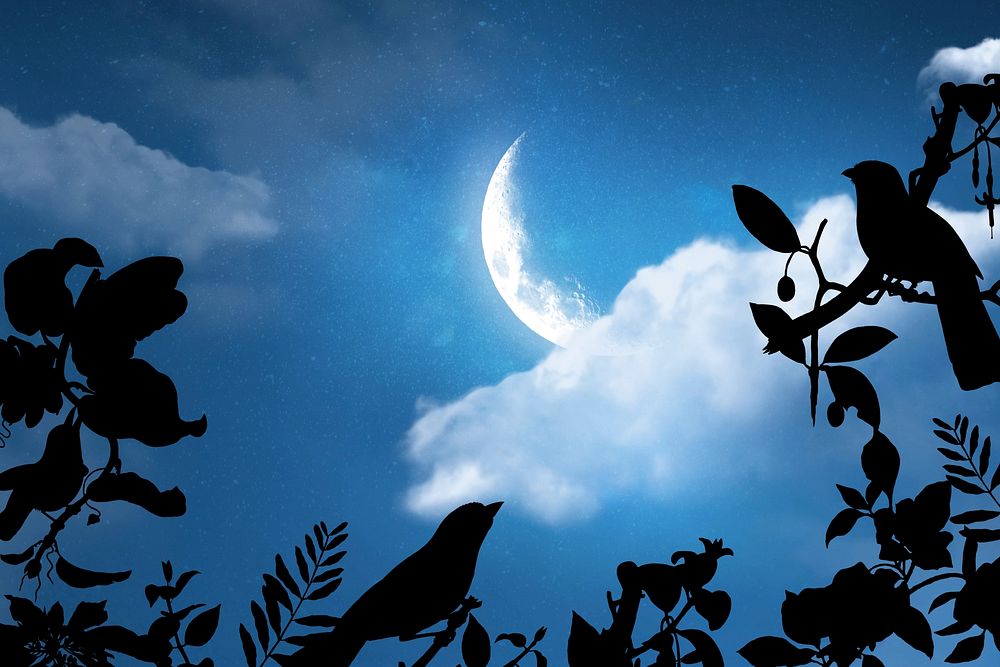 Crescent moon sky background, bird silhouette design