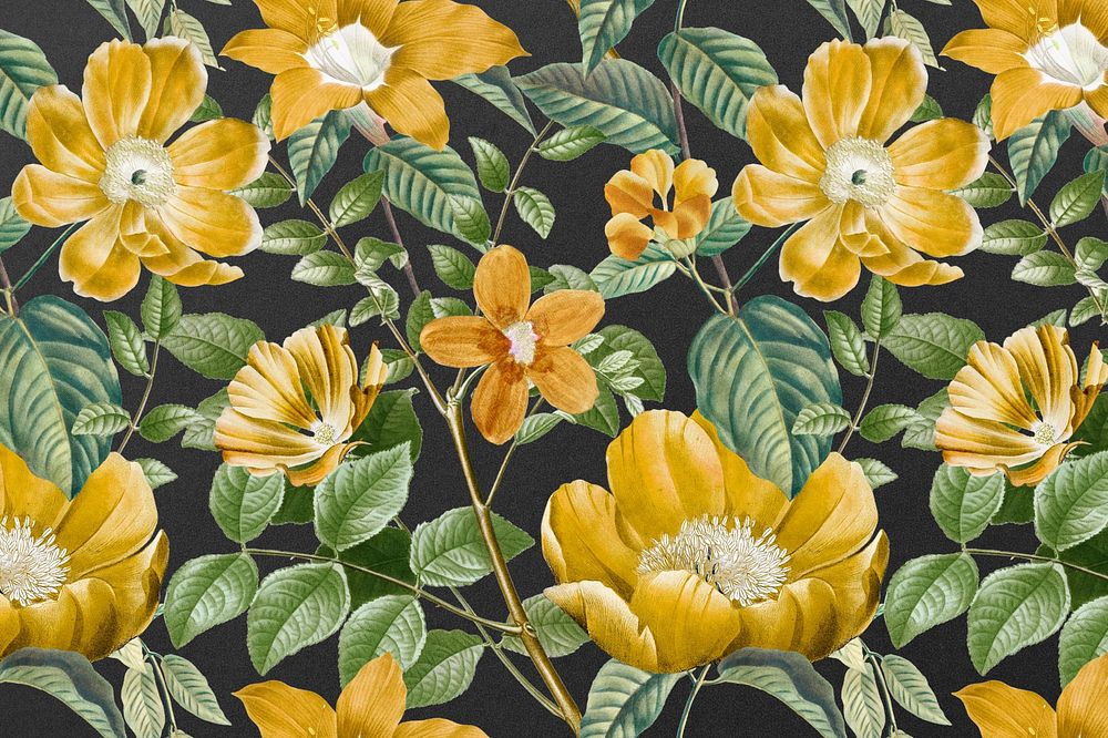Vintage yellow flower pattern background illustration by Pierre Joseph Redouté. Remixed by rawpixel.