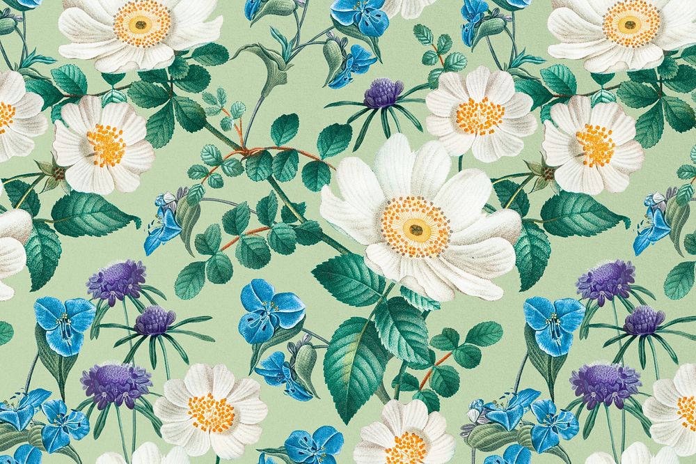 White musk rose pattern background illustration by Pierre Joseph Redouté. Remixed by rawpixel.